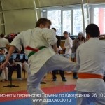 Чемпионат и первенство Тюмени (ИФК) 26.10.2014