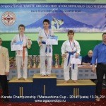 "Кубок Мацушимы - 2014» (ката, кумитэ)