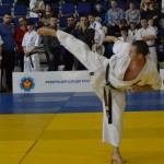 Открытый чемпионат и первенство Тюменской области по Киокусинкай 