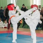 Крещенский турнир 2015 (всестилевое каратэ)