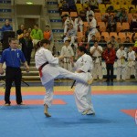 Чемпионат и перенство России (ФКР) 21.03.2015 Екатеринбург