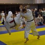 Чемпионат Свердловской области по Киокусинкай 26.04.2015 Екатеринбург