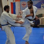  «Кубок Мацушимы – 2017» 23.04.2017 Тюмень.