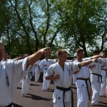 Кю и Дан тэст 28.05.2017 Тюмень