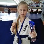 Чемпионат и первенство Тюменской области по Киокусинкай. 4.02.2018 Тюмень