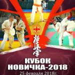 "Кубок новичка-2018" 25.02.2018 Тюмень