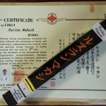 На 9 чёрных поясов  в Додзё стало больше.